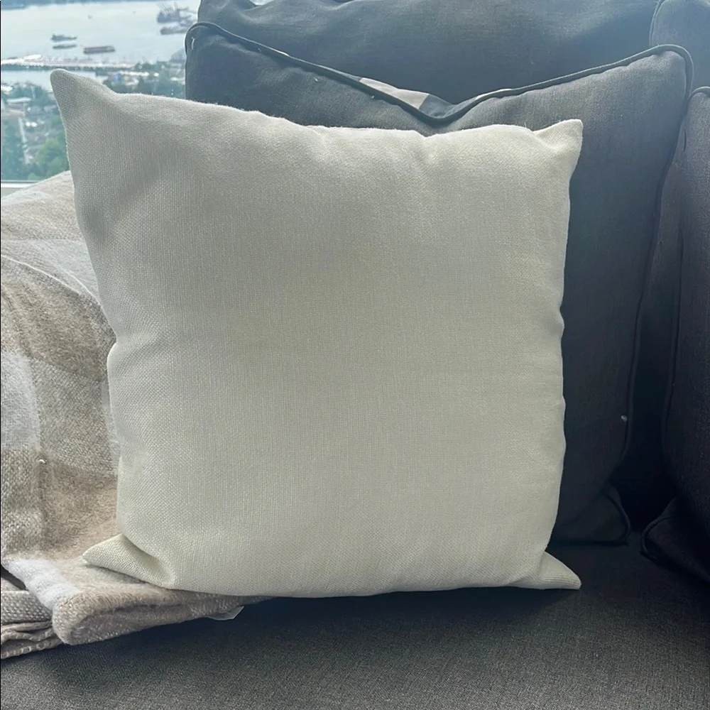 West Elm charming pillow